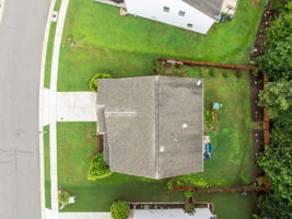  Photo 45