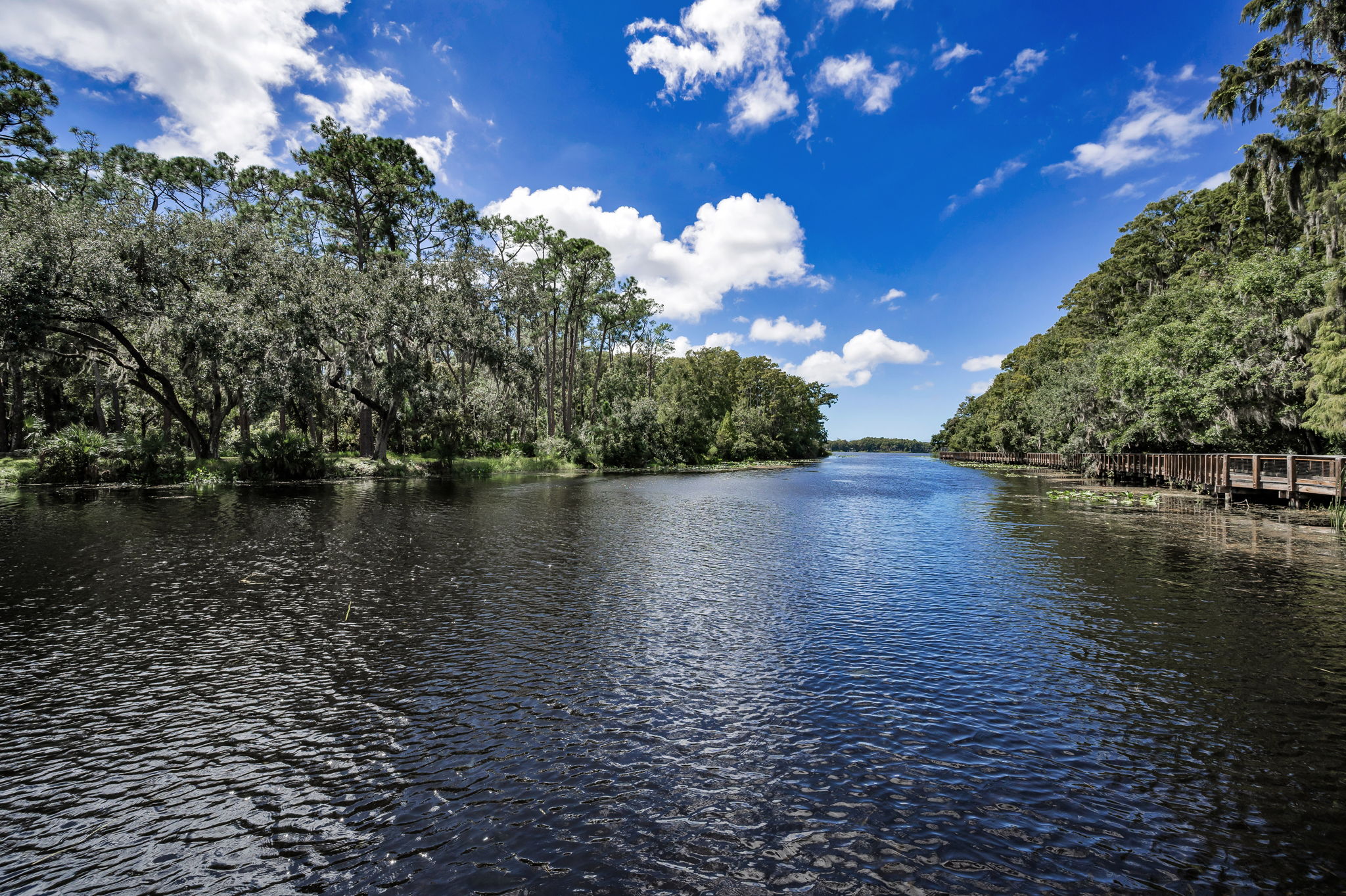 John Chestnut Sr Park12