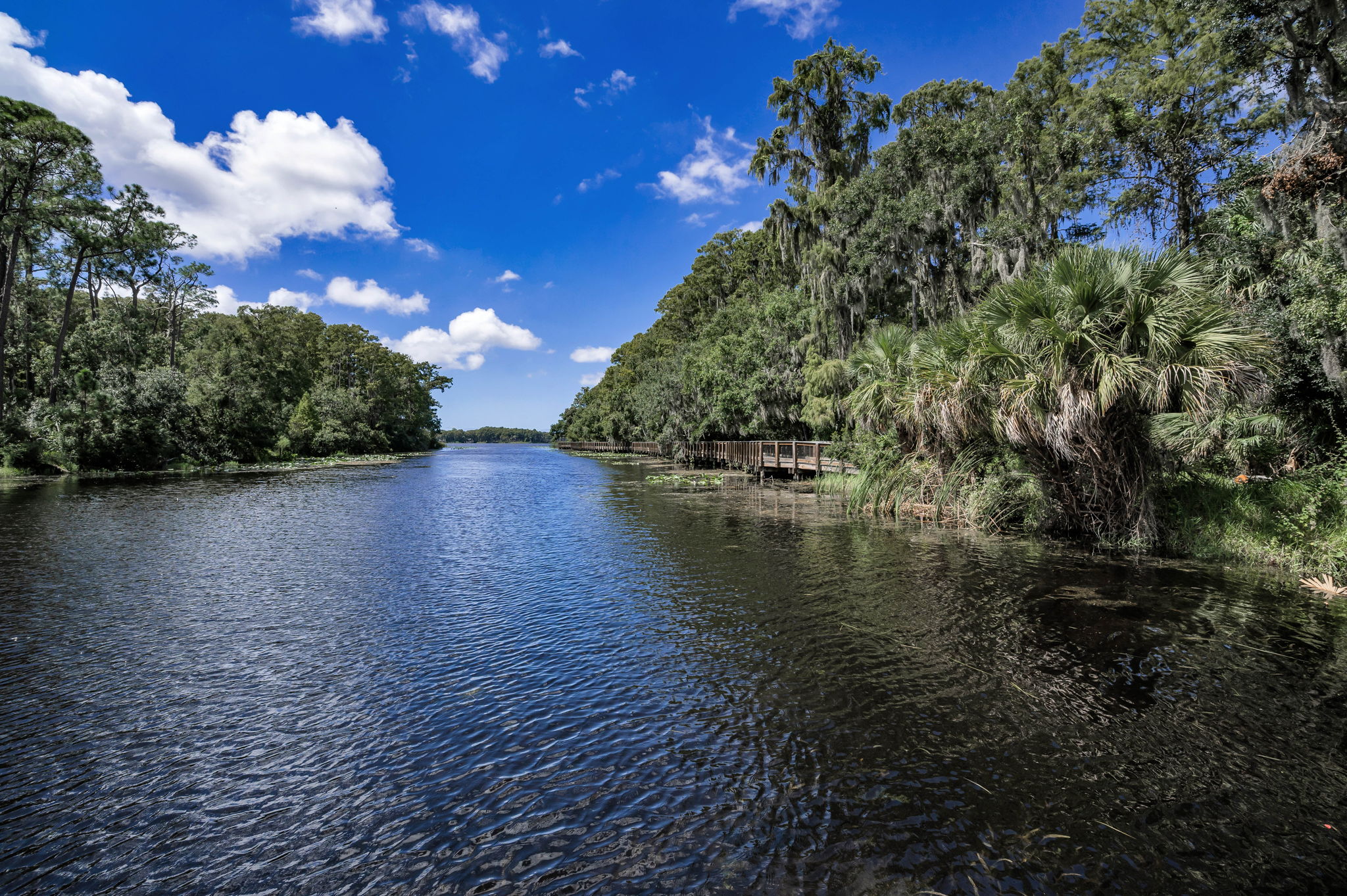 John Chestnut Sr Park14