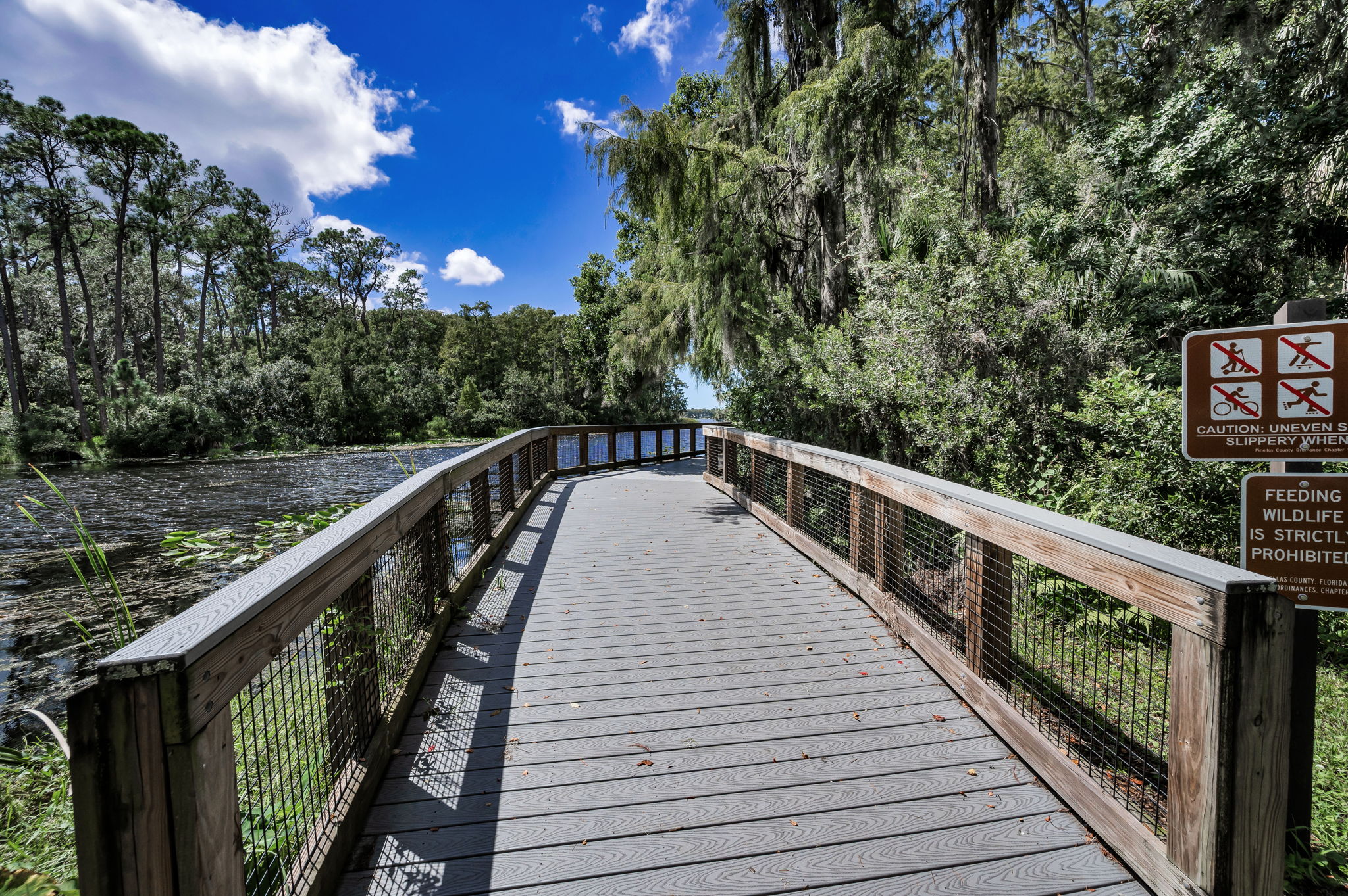 John Chestnut Sr Park21