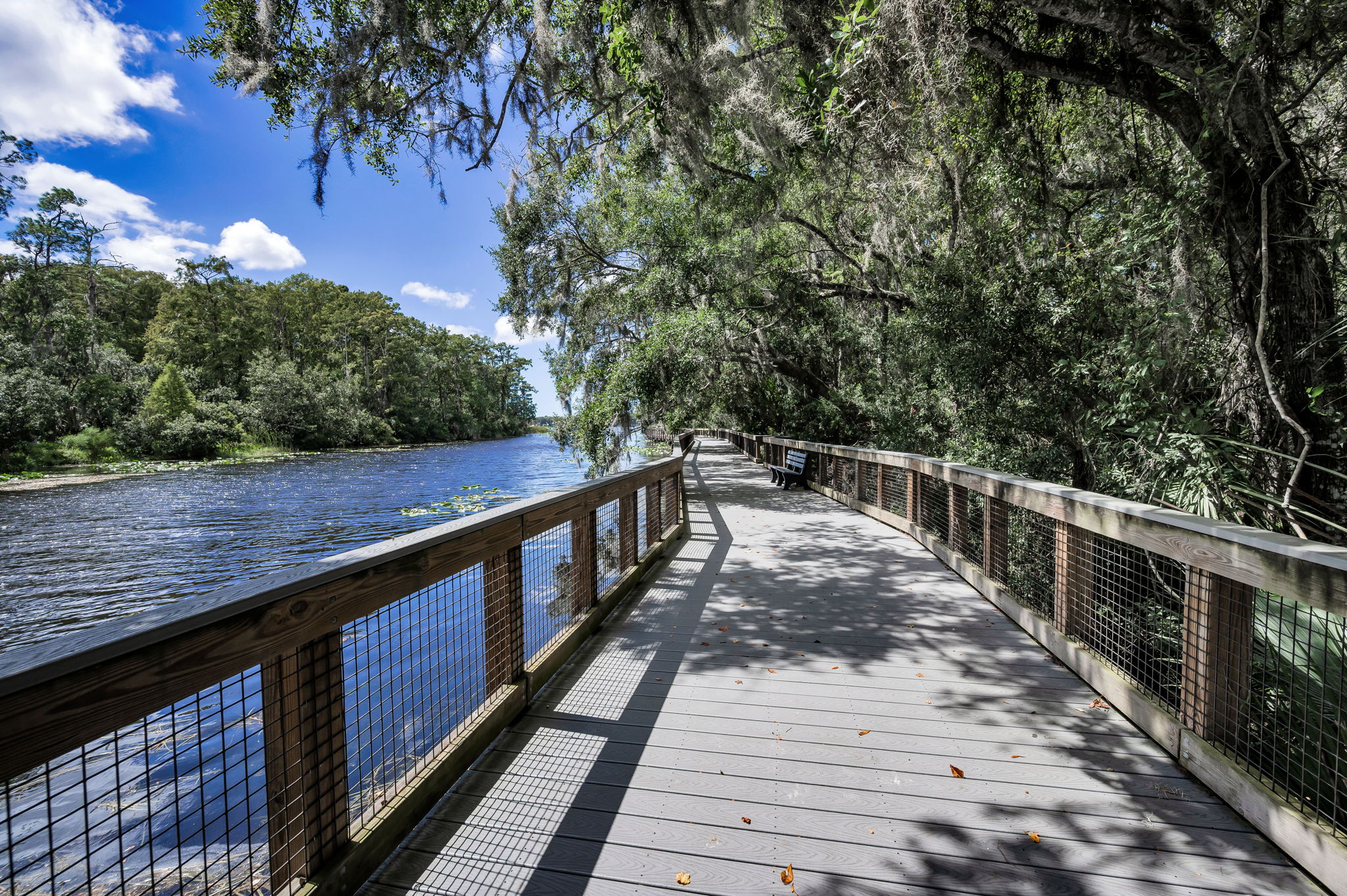 John Chestnut Sr Park22