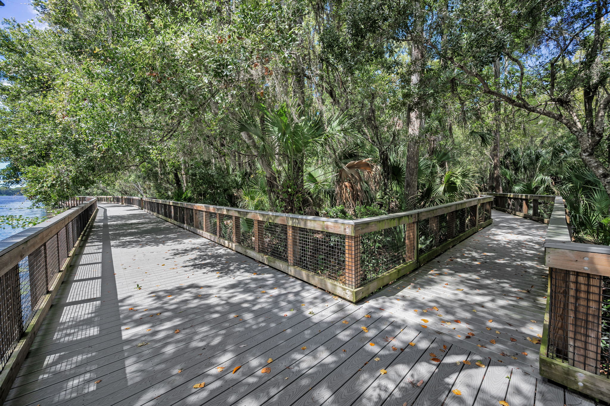 John Chestnut Sr Park24