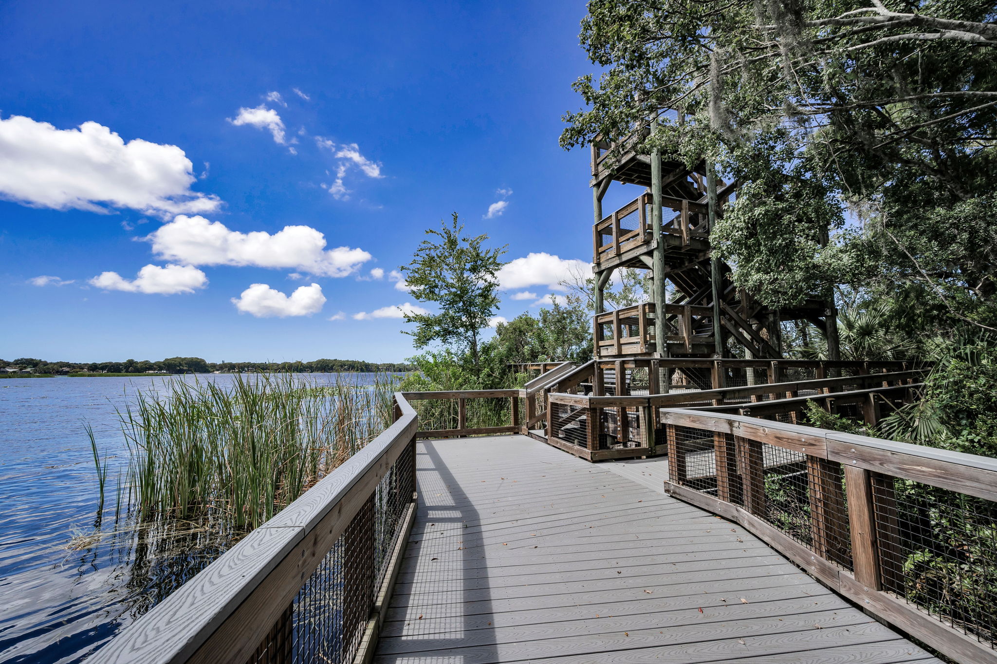 John Chestnut Sr Park26