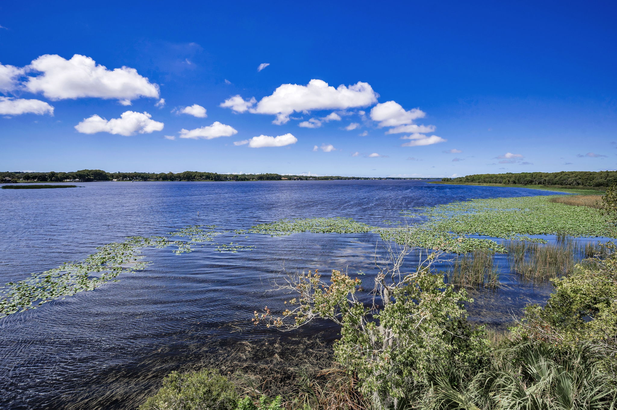 John Chestnut Sr Park28