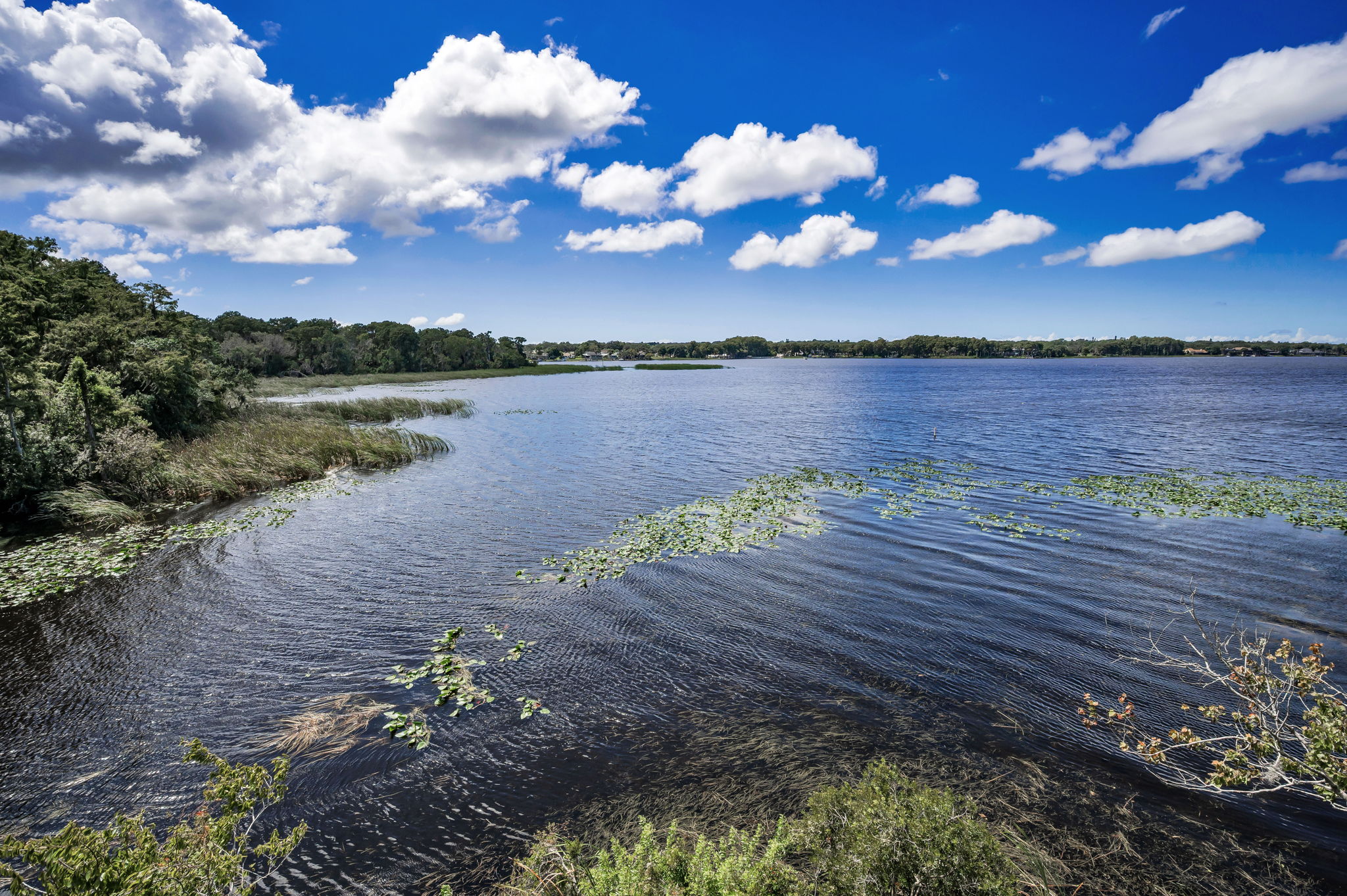 John Chestnut Sr Park30