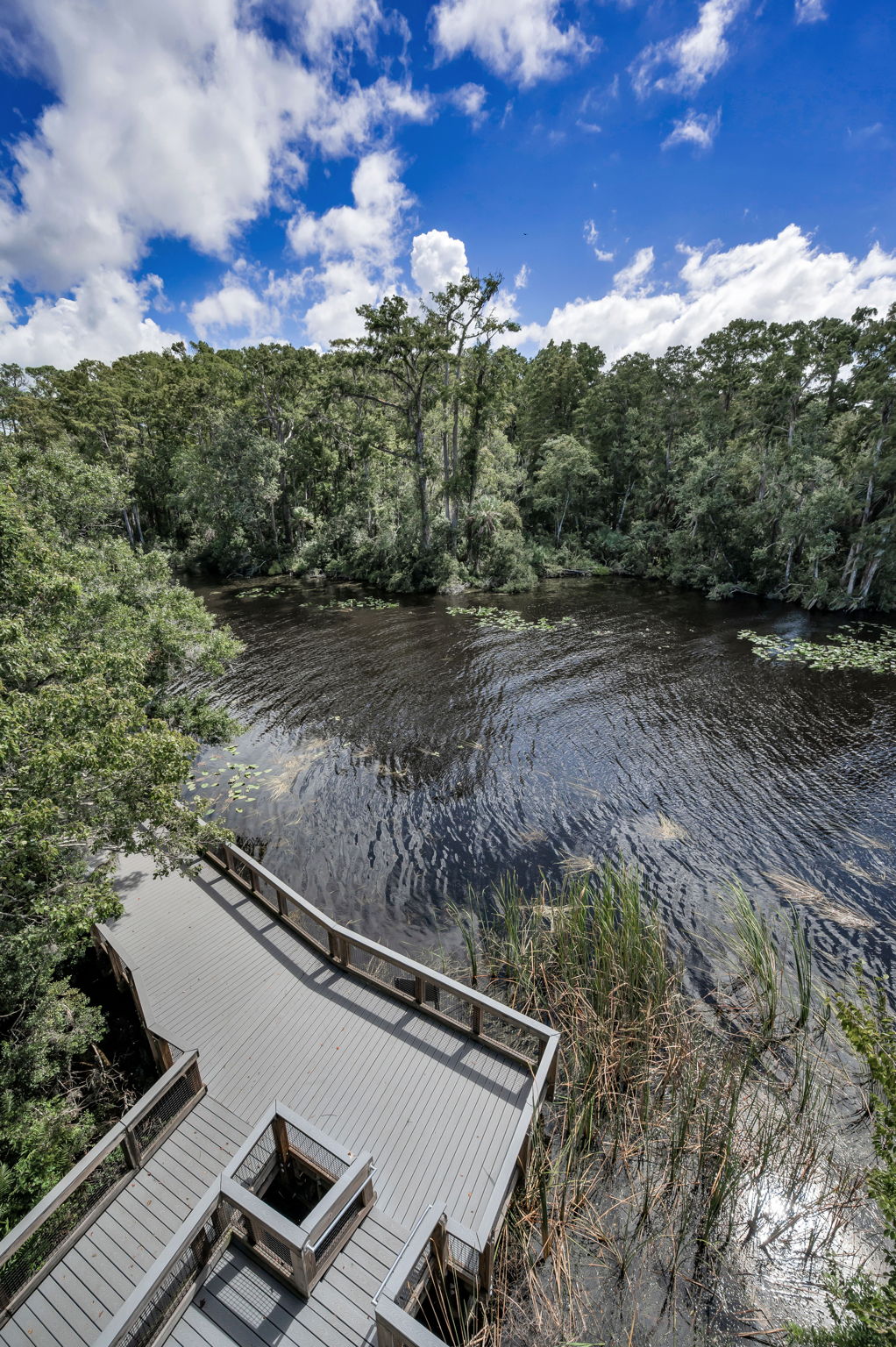 John Chestnut Sr Park32