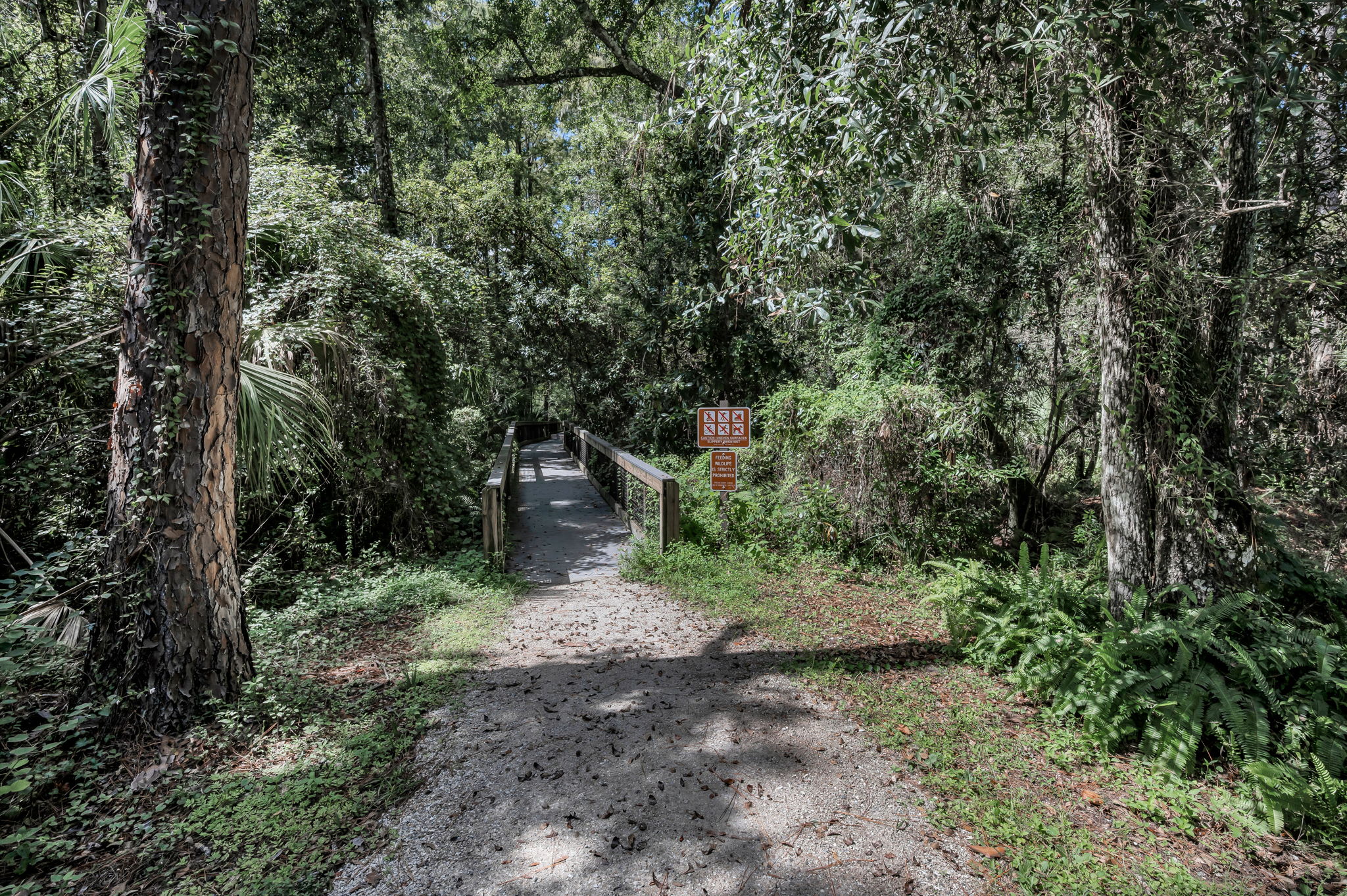 John Chestnut Sr Park44