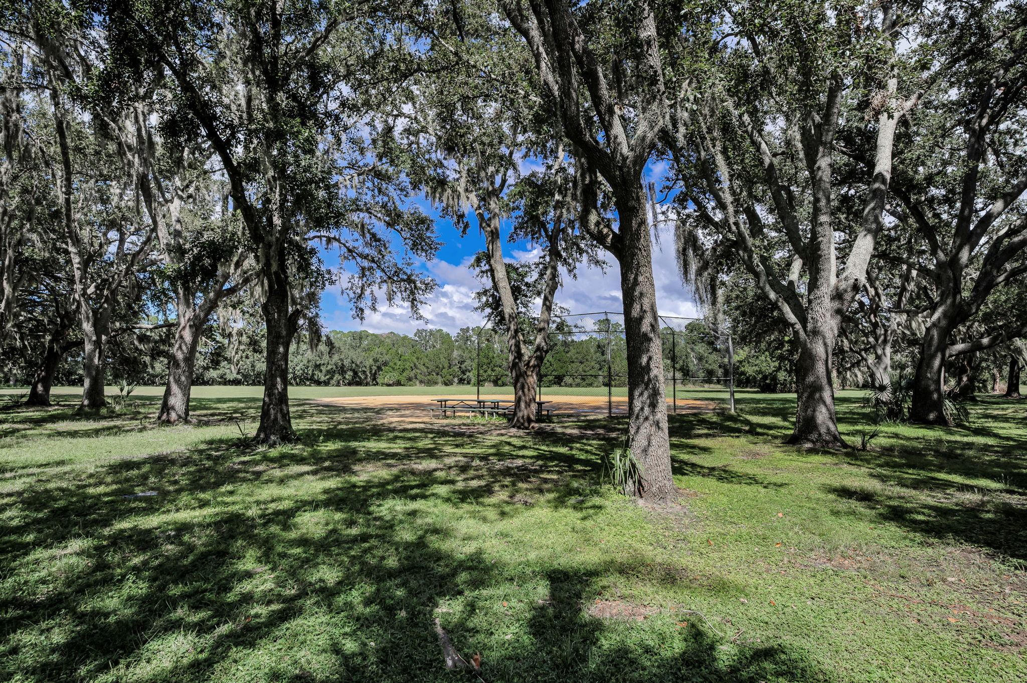 John Chestnut Sr Park47