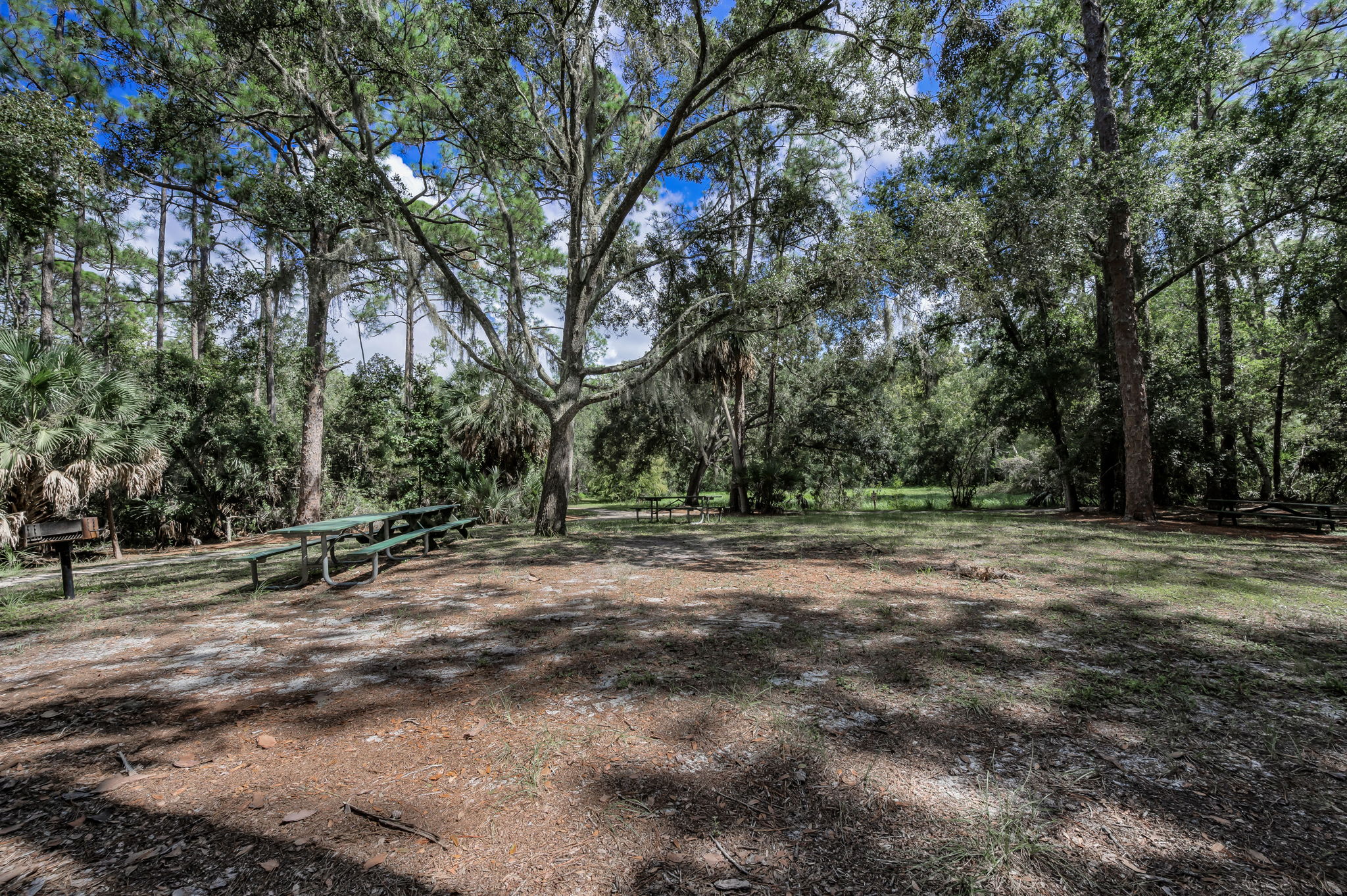 John Chestnut Sr Park48