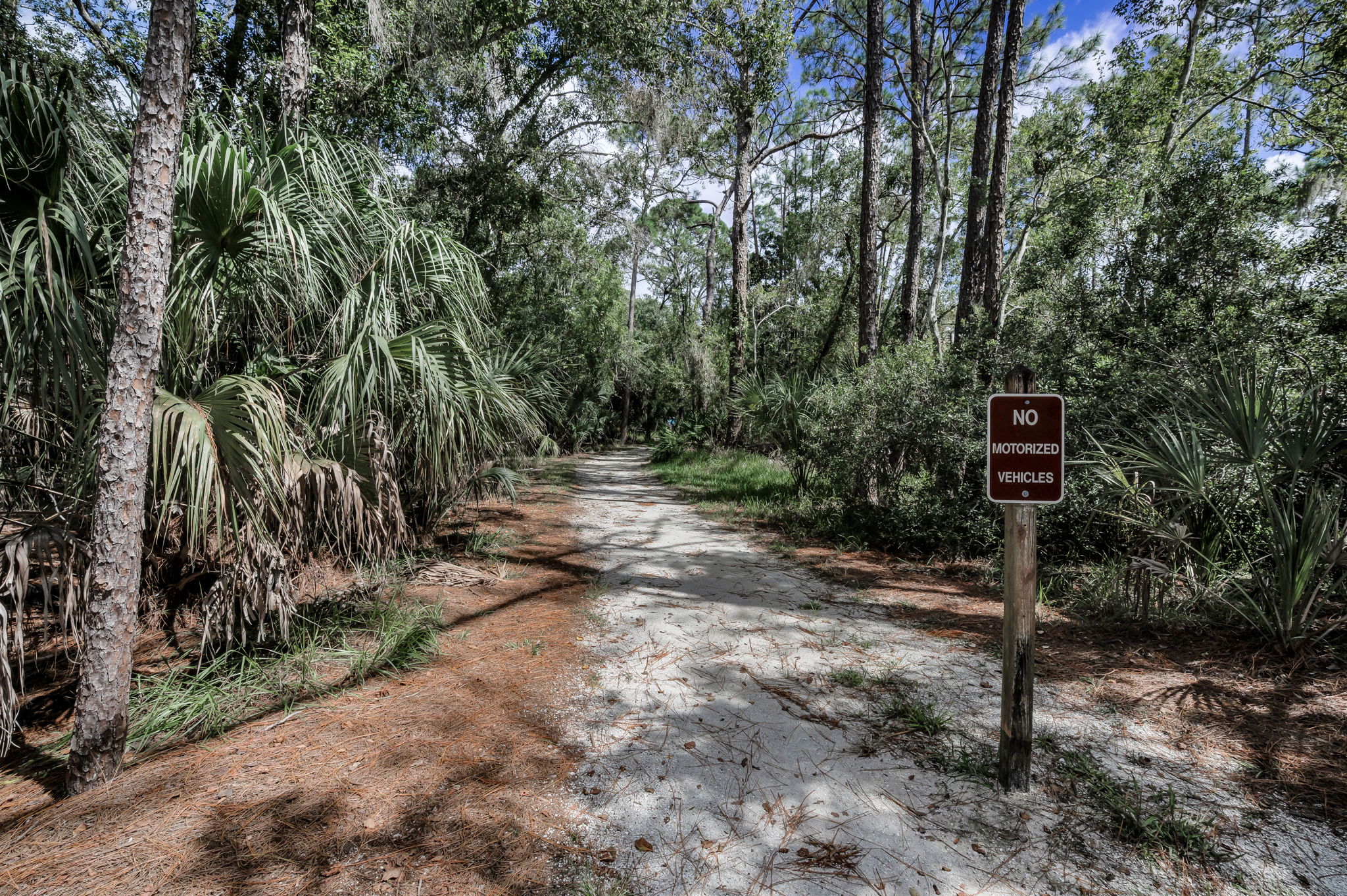 John Chestnut Sr Park49