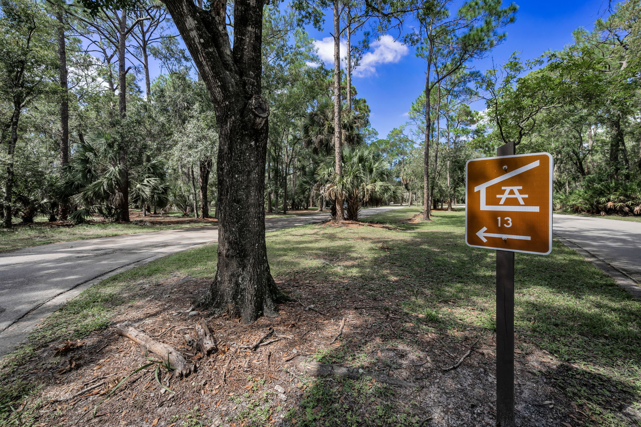 John Chestnut Sr Park50