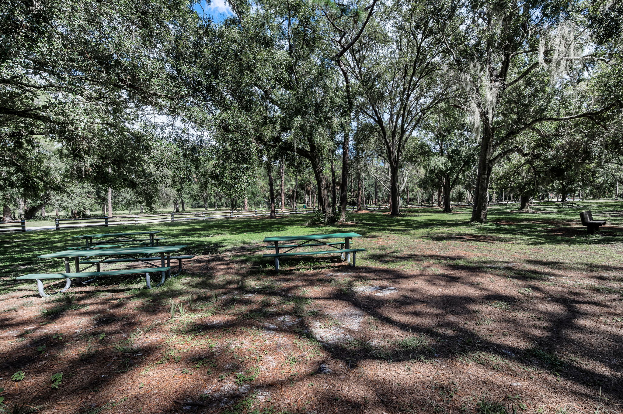 John Chestnut Sr Park57