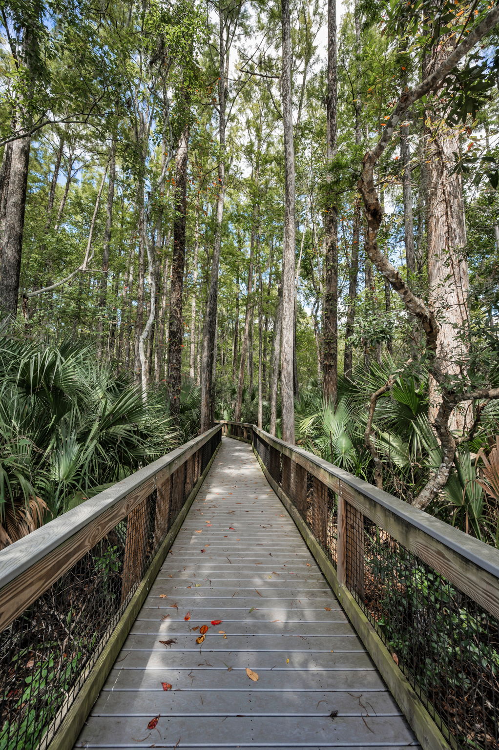 John Chestnut Sr Park25