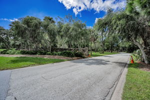 John Chestnut Sr Park3