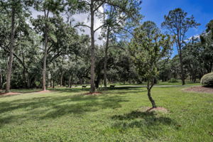 John Chestnut Sr Park5