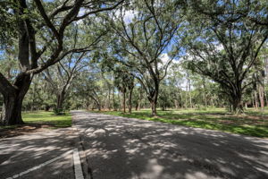 John Chestnut Sr Park6