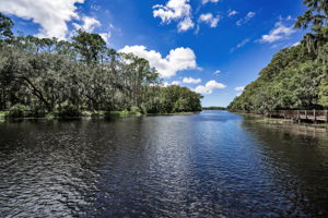 John Chestnut Sr Park12