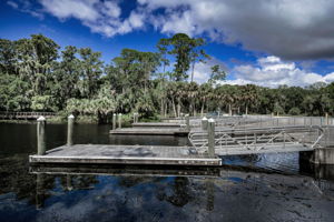 John Chestnut Sr Park19