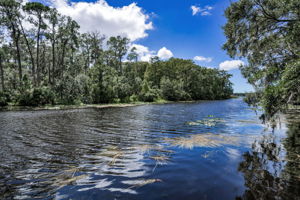 John Chestnut Sr Park23