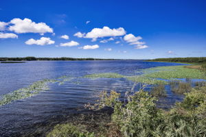 John Chestnut Sr Park28