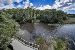 John Chestnut Sr Park31