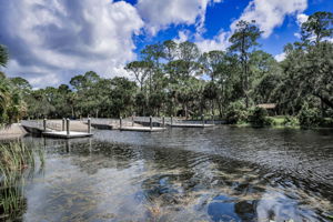 John Chestnut Sr Park35