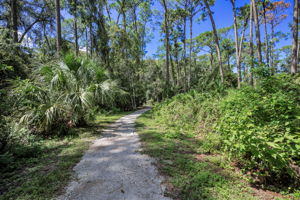 John Chestnut Sr Park42