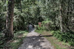 John Chestnut Sr Park44