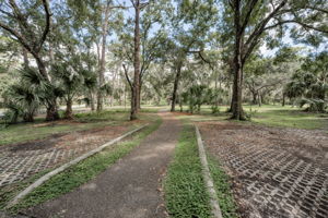 John Chestnut Sr Park45