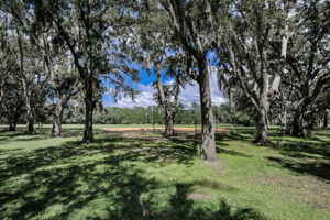 John Chestnut Sr Park47