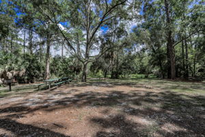 John Chestnut Sr Park48