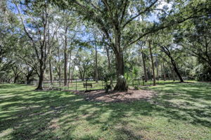 John Chestnut Sr Park53