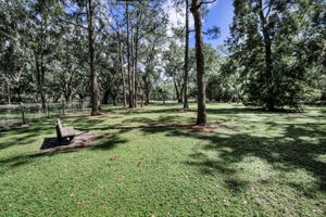 John Chestnut Sr Park54