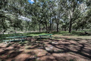 John Chestnut Sr Park57