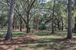 John Chestnut Sr Park60