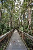 John Chestnut Sr Park25