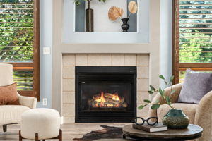 Gas fireplace