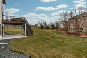 49-Back View