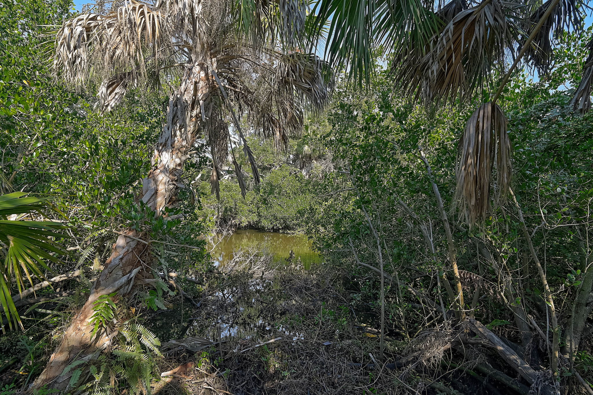 919 Tranquility Cir-45