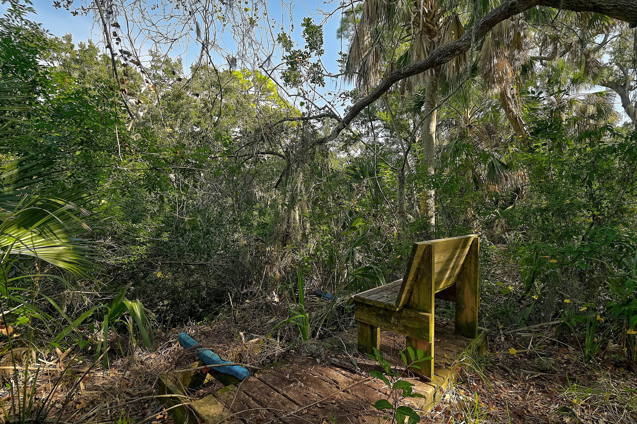 919 Tranquility Cir-46