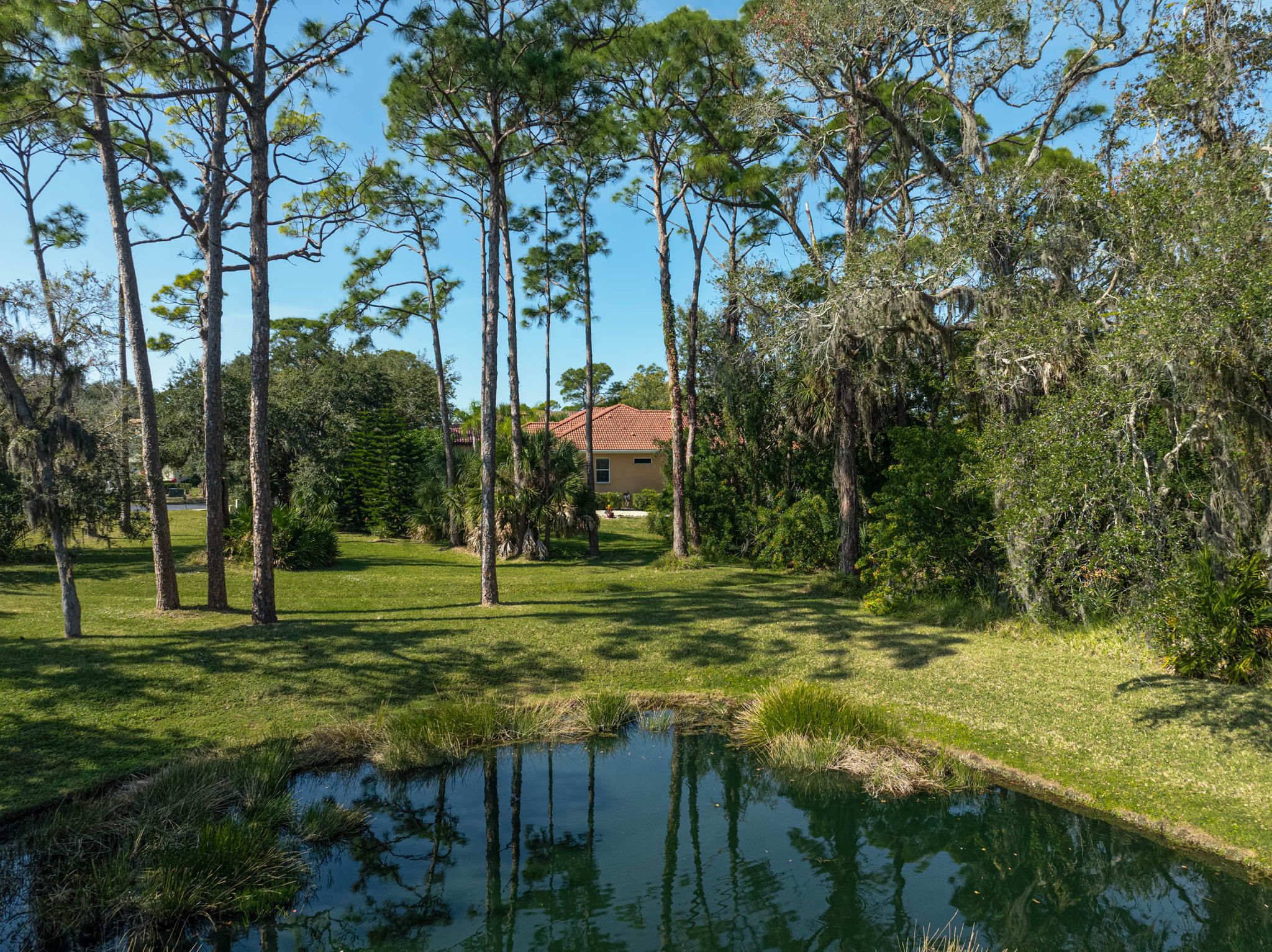 919 Tranquility Cir-64