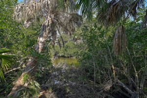 919 Tranquility Cir-45