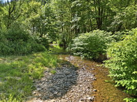  Photo 49