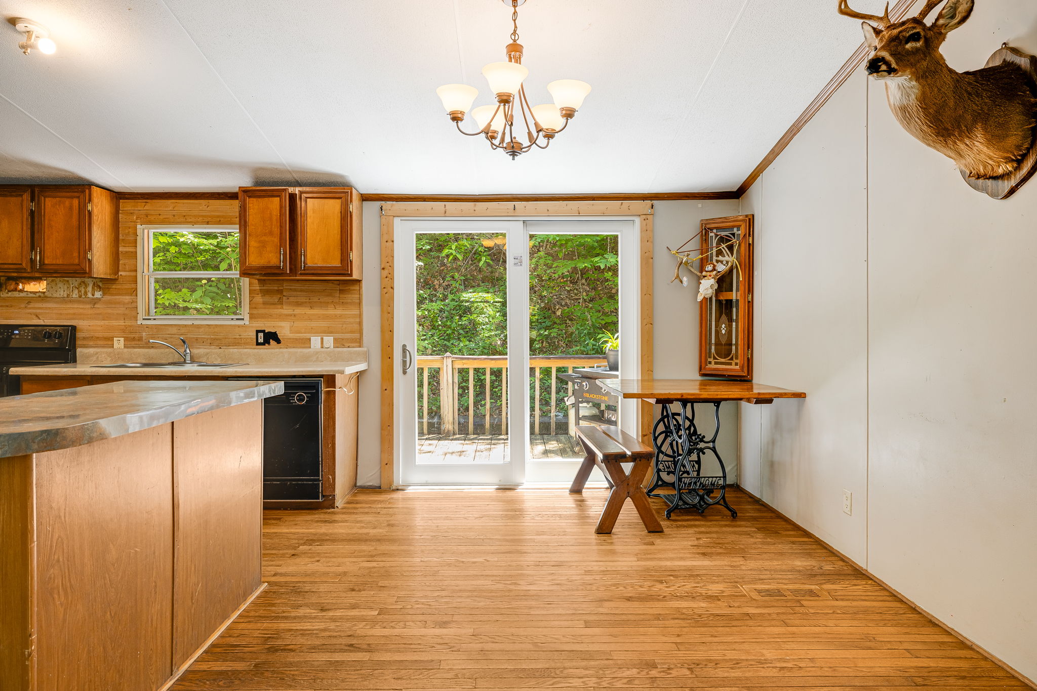 92 Long Ridge Rd, Candler, NC 28715, USA Photo 8