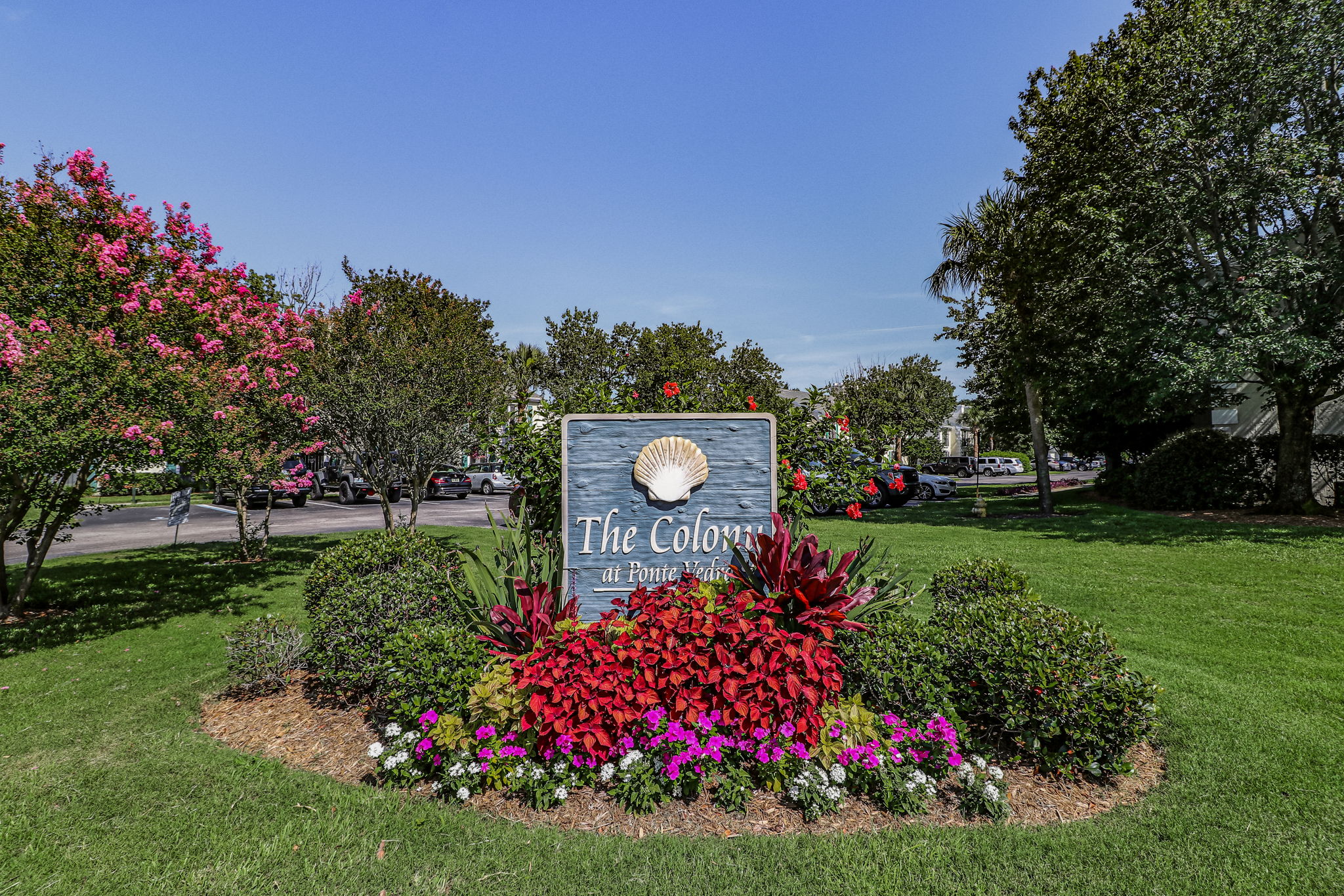 The Colony