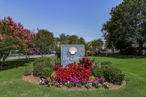 The Colony