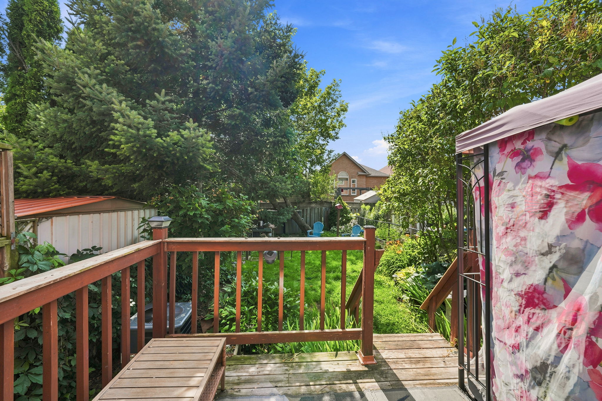  Photo 38
