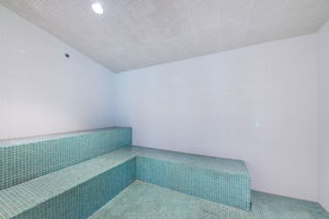 33-Steam Room