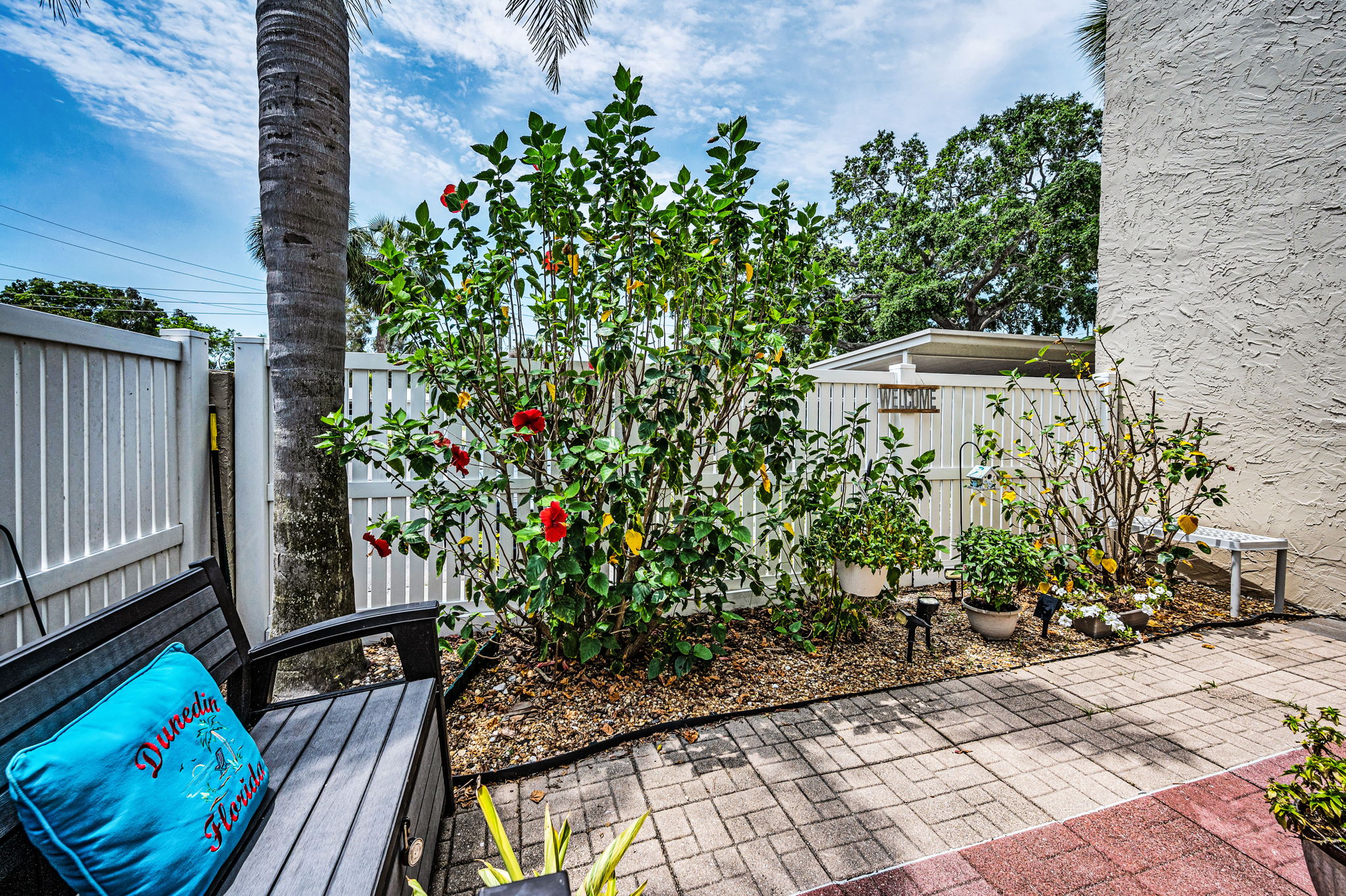 Patio2