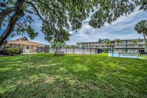 Backyard5 Pool View